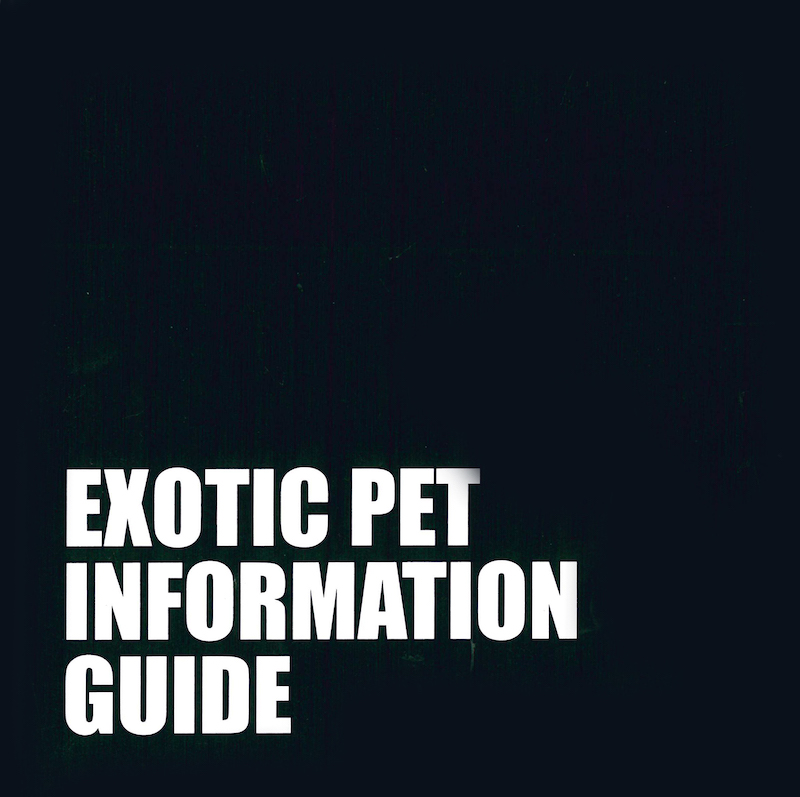Exotic Pet Information Guide